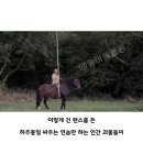 중세시대 기사가 존나 쩔었던 이유 이미지