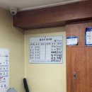 인천 영종도 네스트호텔 플라츠 조식 스프란트 야외수영장 회 치킨 포장 후기(2)