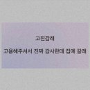 드도그카페 | 사랑과 서로가 우리를 살게 해요