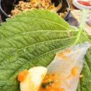 속초오징어어시장 구로디지털단지점 이미지