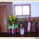 양푼이생태탕 이미지