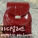 [내돈내산 백팩후기]Cardinalred 카디널레드 : 하우아백 버건디