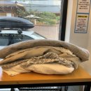 영대세탁 이미지