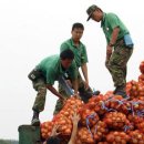 육군제8623부대 이미지