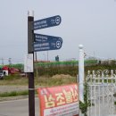 남산1리 경로당 옆 | 서해랑길 서산 79코스(대산 버스터미널~삼길포항 정류장)