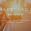 소낙스 이미지