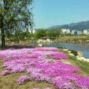삼락카 네이버블로그