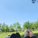 (주)도우 - 청주시 서원구 | 일산 호수공원 피크닉, 가로수길 신상 피자맛집 오픈더도우 포장 후기
