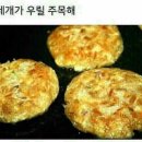 퍼피엔젤 이미지