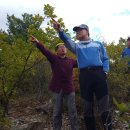 도일리 경로당 이미지