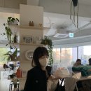 비피케이크