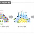 팜한농비료 이미지