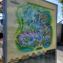 개동(남)경로식당 | 다낭 여행 남호이안 빈원더스 어드벤처랜드 내돈내산 솔직후기｜왕복 셔틀·버기카·점심뷔페 포함 빈펄...