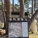 토지면사무소 | [전남 구례] 애견동반 캠핑장 섬지캠핑장 2박 3일 은하수 5번 (1)