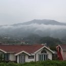 홍차가게 안단테