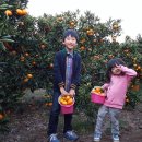 민아농장 이미지