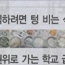 식판나라 네이버블로그