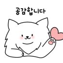 헬로, 멜로 이미지