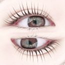 구지로L 이미지