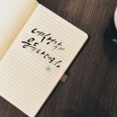 캘리그라피 중급 이미지