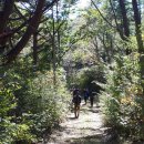 외씨버선길(치유의길) 이미지