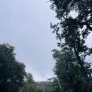 (주)캐슬렉스서울 캐슬렉스골프클럽 이미지