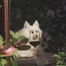 와인 | 어바웃 와인 합정 후기