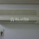 동연아미가 이미지