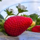 영통중앙 이미지