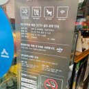 이디야커피 혜화동로터리점에서 연극 기다리며 꿀자몽 그래놀라 1인 빙수~ (당류, 칼로리)