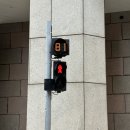 홍콩 3일차 (마카오 자유여행, 세나도광장, 윙치케이, 레몬첼로, 세인트폴성당, 더런더너호텔, 르자르뎅...