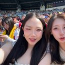 다잇지스포츠 이미지