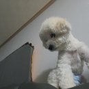 속초동물의료센터 이미지