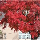 진해여자중학교 이미지