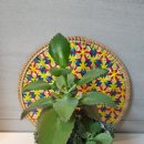 감성 라탄 | 더따뜻 에스닉 라탄매트로 집 분위기 바꾸기, 감성 베트남매트 인테리어 후기