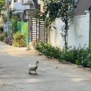 느린미학 이미지