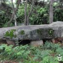 용월리지석묘군 이미지