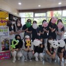 헬로키즈