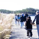 신의초등학교 이미지