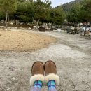 벨르 온수 수영장펜션 이미지