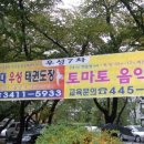 우성 태권도장 이미지