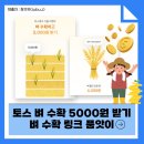 한동테크 | 토스 가을 이벤트 벼 수확하고 5,000원 받기 (~9/10) 댓글 링크 품앗이