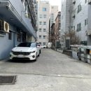 버디스크린골프 아카데미 이미지