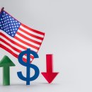 주식회사알파카부동산중개법인 이미지