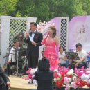 효콘서트 이미지