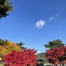 하늘자락공중화장실 | 경북 단풍명소 추천 예천 하늘자락공원 용문사