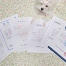 더채움입시학원