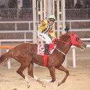 또또코리아 이미지