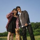 작가와 함께하는 서 | 서울에서 강아지와 함께하는 야외 스냅촬영 후기(내돈내산 / 테일테일스냅)