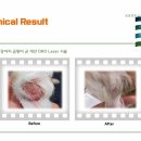 강남다온동물병원 이미지